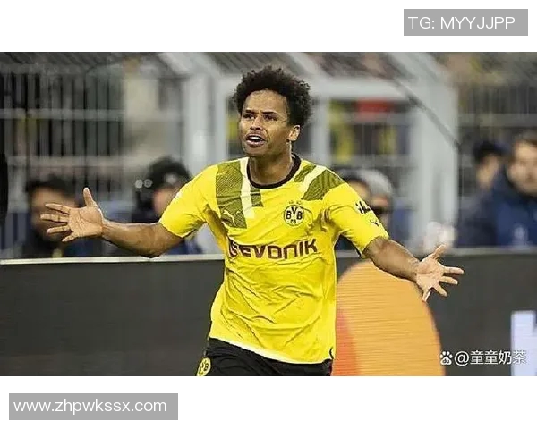 德甲:拜仁全胜领跑,多特抢眼仍有希望 德甲:拜仁全胜领跑,多特抢眼仍有希望